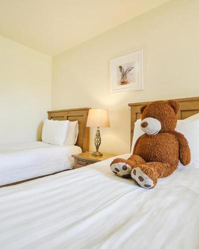 Teddy