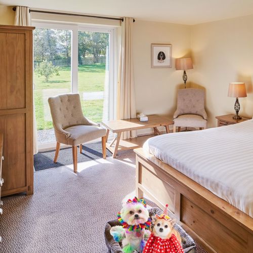 Pet Staycation Website (1)