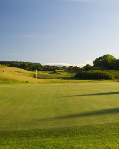 Comis Golf