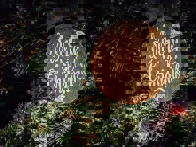 Pexels Brett Sayles 1656564