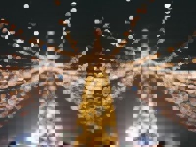 Christmas (1)