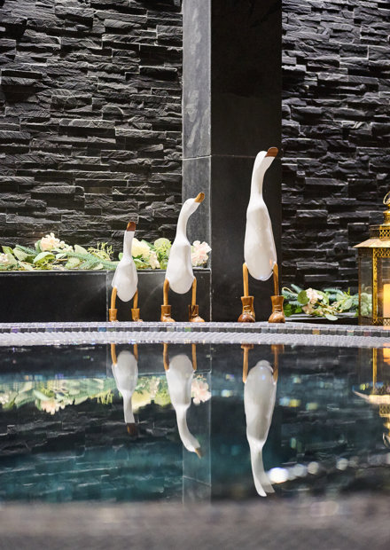 Spa Indulge